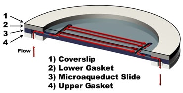 FCS2 3 Isometric View of Optical Cavity