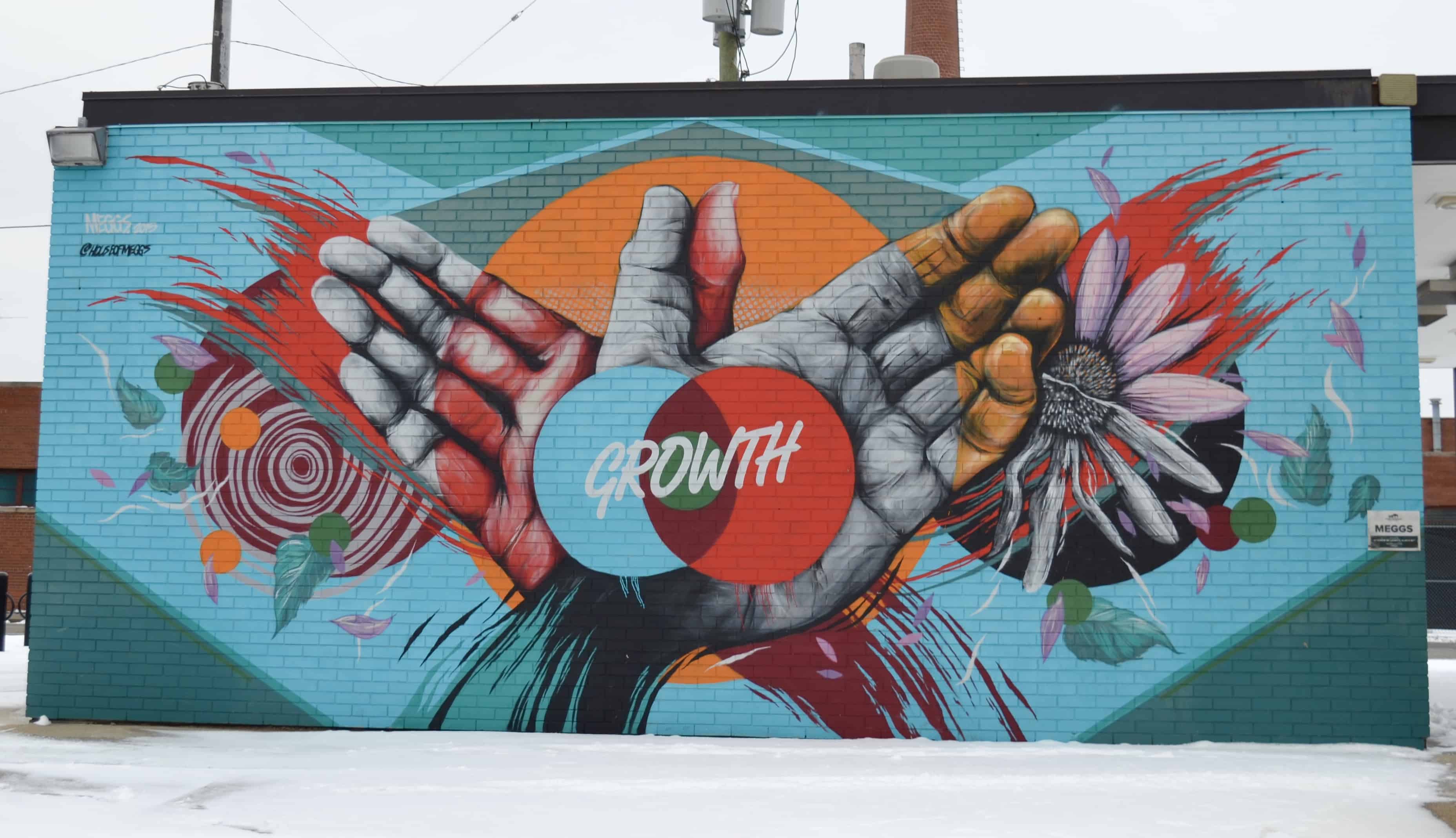 Beautiful Art Murals of Detroit, Michigan and Eastern Market