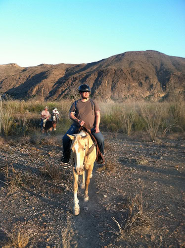 I was jealous that Tim got the Palomino!