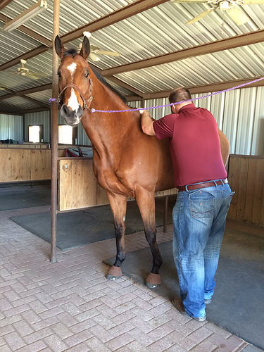 Oh hai chiro man