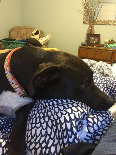 Pascale is already worn out by this drama