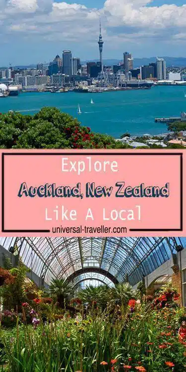 How to Explore Auckland, New Zealand like a Local