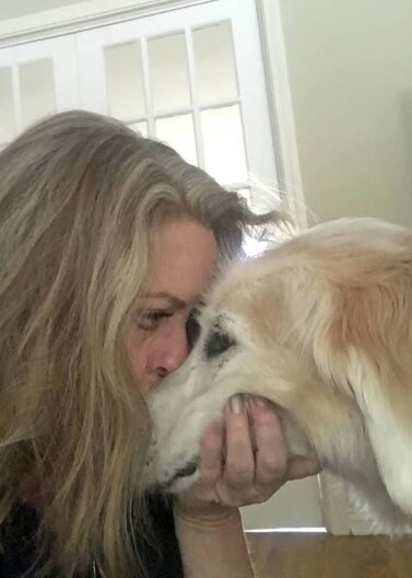 dog, dogs, mans best friend, unconditional love, empty nest dogs