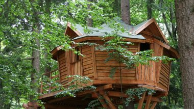 Baumhaushotel -Baum Übernachtungen