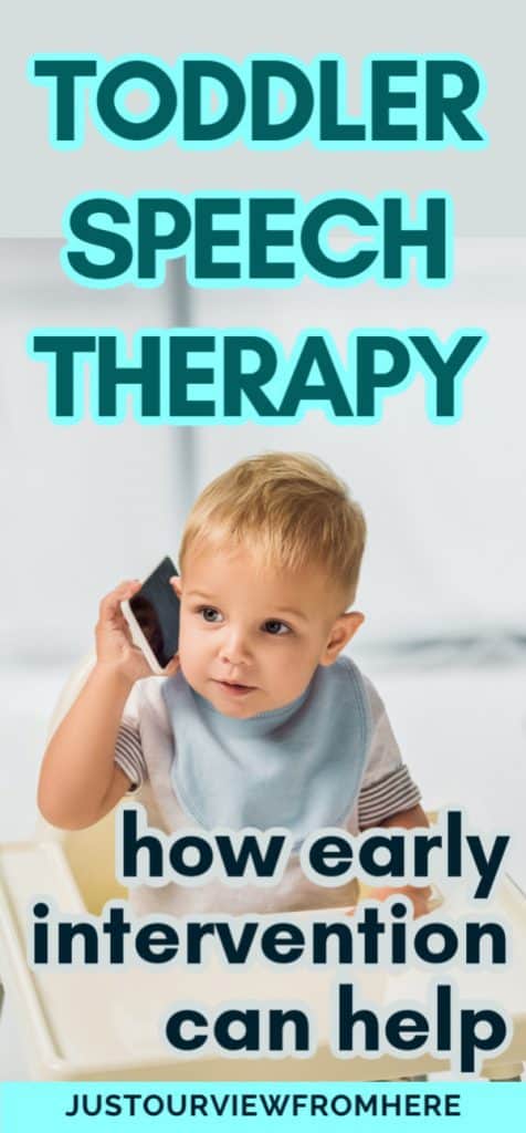 2 Year Old Talking Gibberish? Here's Help ~ Just Our View From Here