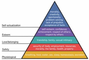 what are the main principles of person centered approach? history of person centered therapy