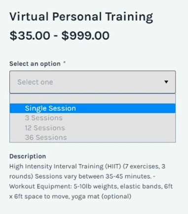 virtual personal training session options