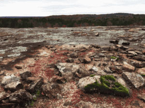 Solution pit with diamorpha and moss growing