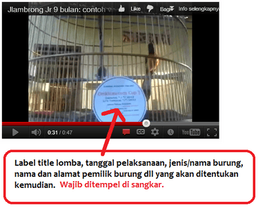 Capture Video Jlambrong Capture Video Jlambrong
