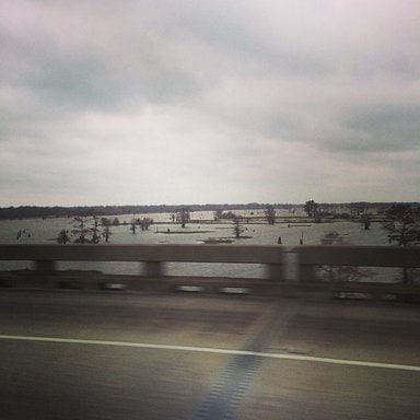 Swamps in LA