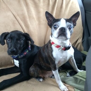 Some of my travel buddies