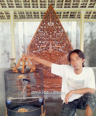 Kacer Lindu Bumi