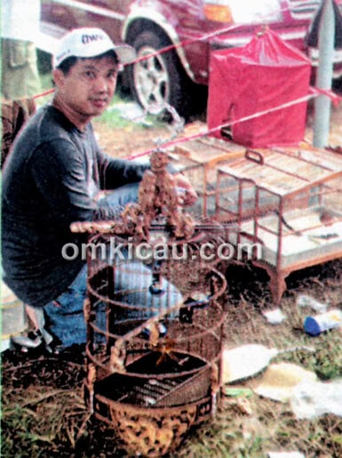 Anis merah legendaria