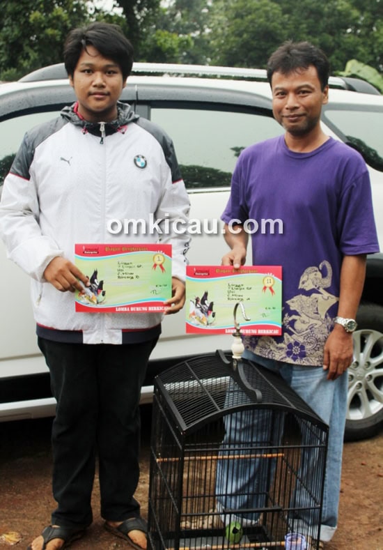Lingga dan cucak hijau Uzi