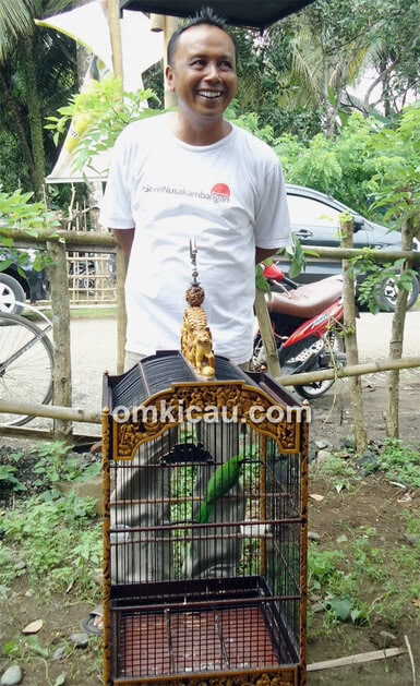 Mr Jhon dan cucak hijau Green Baret