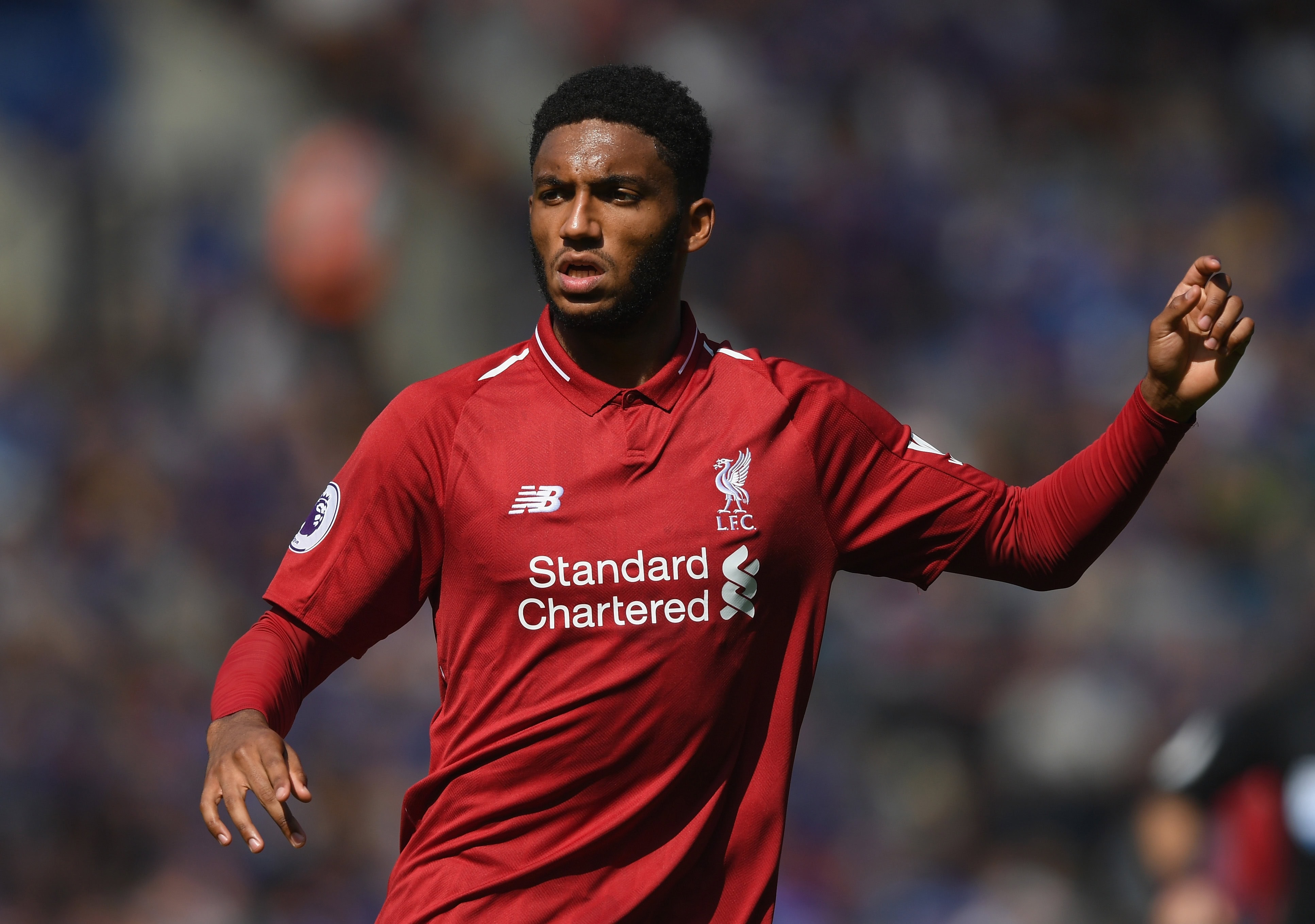 Gomez will have felt hard done by the VAR (Photo by Shaun Botterill/Getty Images)