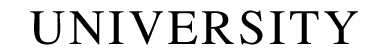 The System University