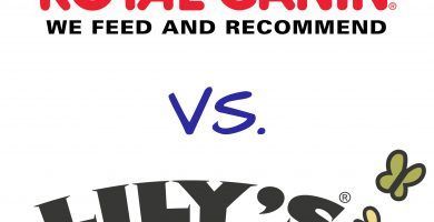 comparación pienso royal canin y lily´s kitchen