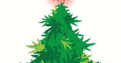 Strains That Will Help You Get Through Holiday Shopping Strains That Will Help You Get Through Holiday Shopping