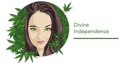 What to Look for When Shopping for Cannabis Flower What to Look for When Shopping for Cannabis Flower