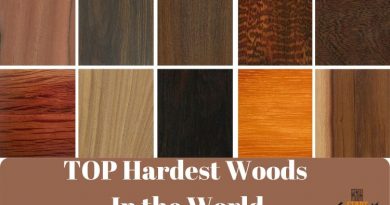 Density Of Wood Why Is An Important Factor Start Woodworking Now