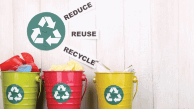 Photo of Environmental Benefits Of Proper Solid Waste Management