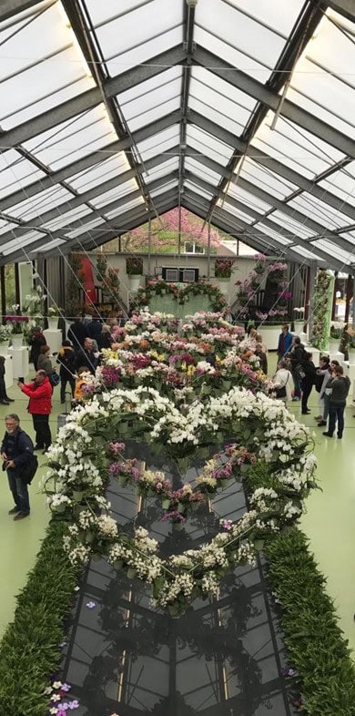 Spring trip to Amsterdam + Keukenhof