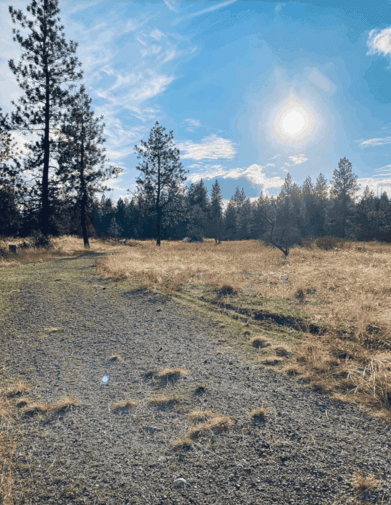 view of Rimrock Conservation Loop Trail-Palisades Park