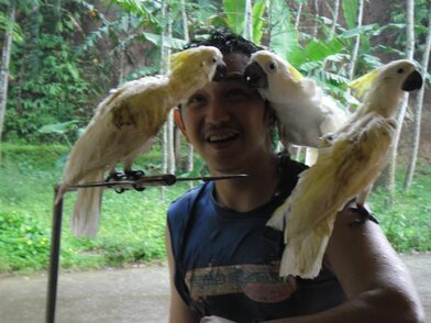 Om Rangga dan burung-burung kakatua Om Rangga dan burung-burung kakatua