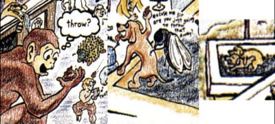particolari-copertina-dookie