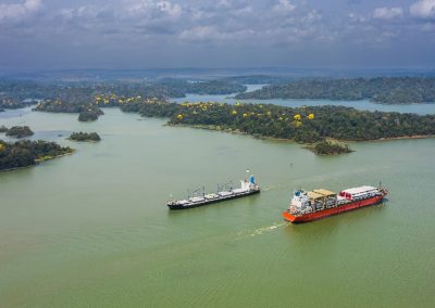 El Canal de Panamá implementa recomendaciones de la OMI para proteger a las ballenas y otros animales acuáticos