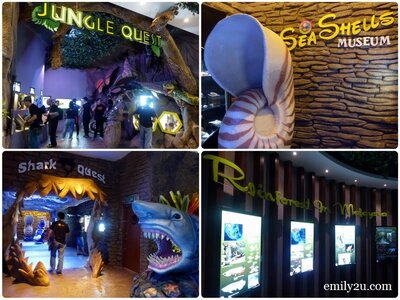 8. different attractions within The Shore Oceanarium