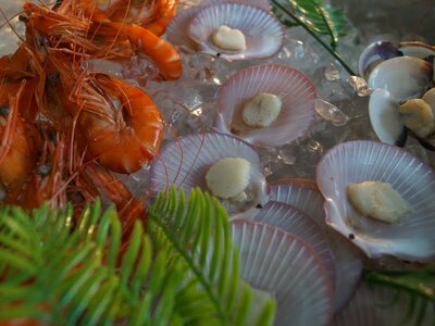 14. seafood on ice