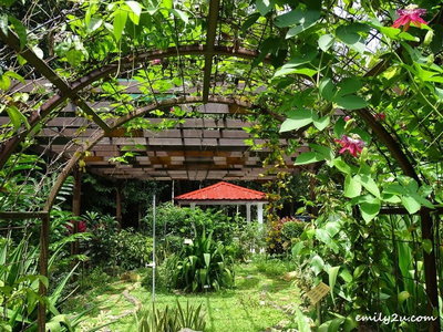 7. plant nursery