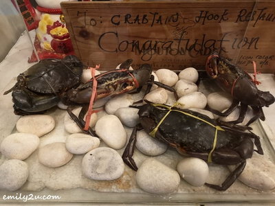 18. Indonesian Meat Crab in an aquarium