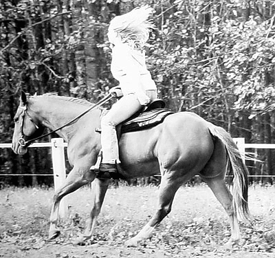 When I first got my Western saddle, 2002?