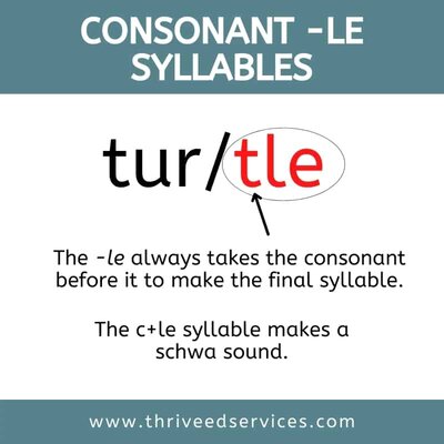 example and definition of the consonant le syllable using the word turtle