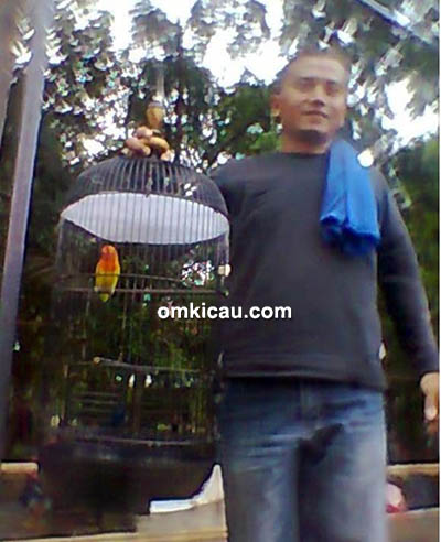 Om Puji Harto dan lovebird Ciprut