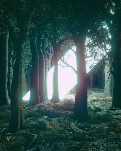 Digital Artist Mike Winkelmann Creates Daily Conceptual Illustrations (...) - @This Is Colossal 1 Digital Artist Mike Winkelmann Creates Daily Conceptual Illustrations (...) - @This Is Colossal Artes & contextos beeple 1