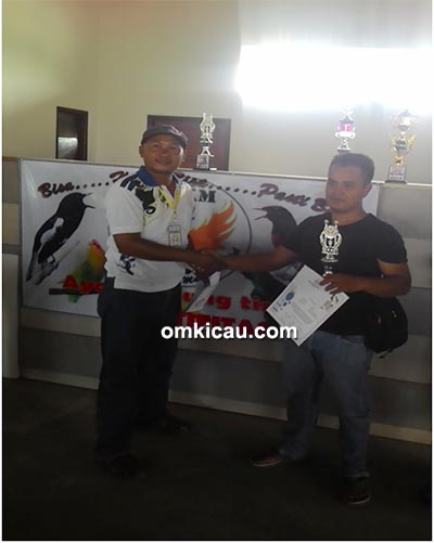 murai borneo Timoer