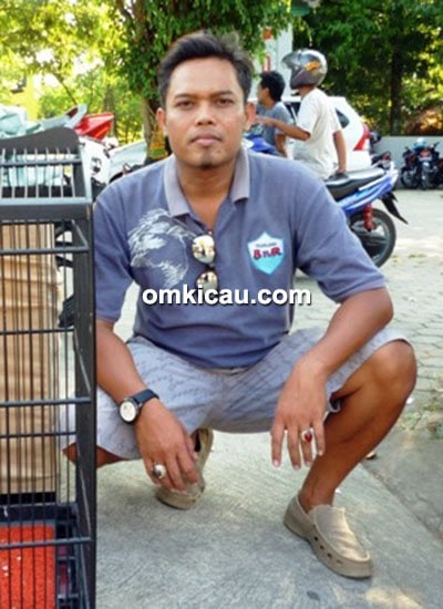 Om Ridwan SDM dan cucak hijau Aslan