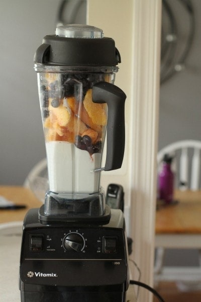 I Bought A Vitamix Here S What I Think Of It The Frugal Girl