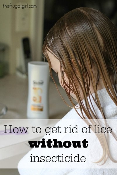 How To Get Rid Of Lice With Tea Tree Oil Instead Of Insecticide