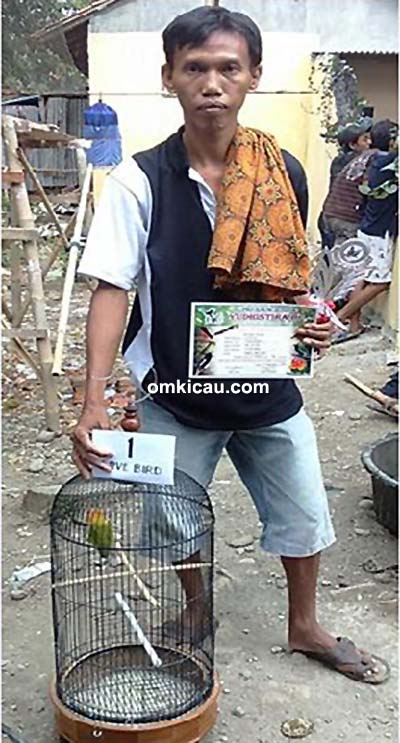 Om Sayidi dan lovebird Sintia