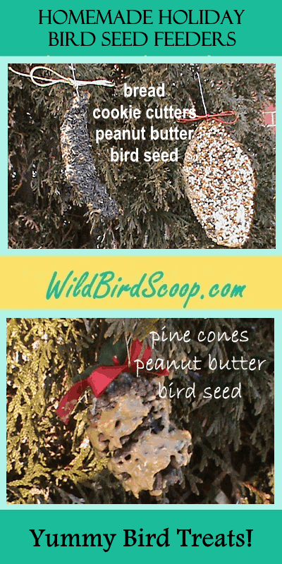 Homemade Holiday Bird Seed Feeders A Pinterest image of holiday bird seed feeders with the heading text "homemade holiday bird seed feeders."