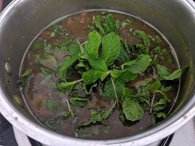 freshly torn mint leaves added to rasam
