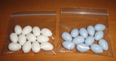 dummy telur finch