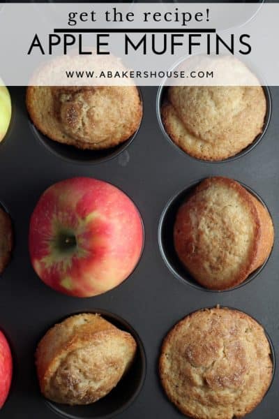 Apple cider muffins in muffin tin with apples