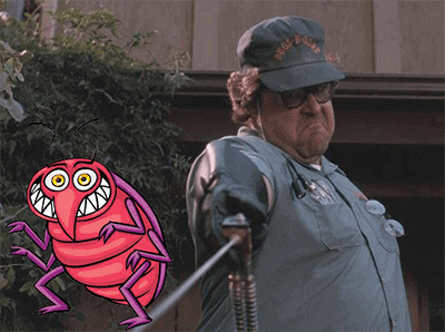 exterminators-rochester-vs-family-pest-control
