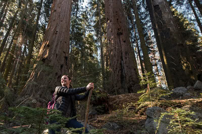 Red Hill’s rugged forest is magnificent.